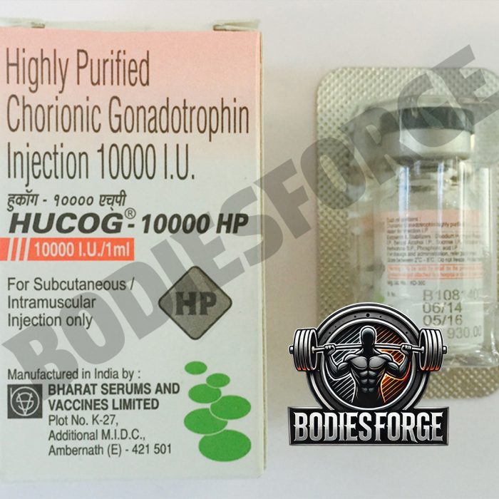 HCG